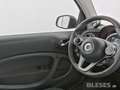 smart forTwo smart fortwo EQ Prime Exclusive Plus+22kW+JBL+Pano Grün - thumbnail 5
