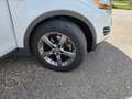 Ford Kuga Kuga 2.0 TDCi 4x4 Aut. Titanium - thumbnail 11