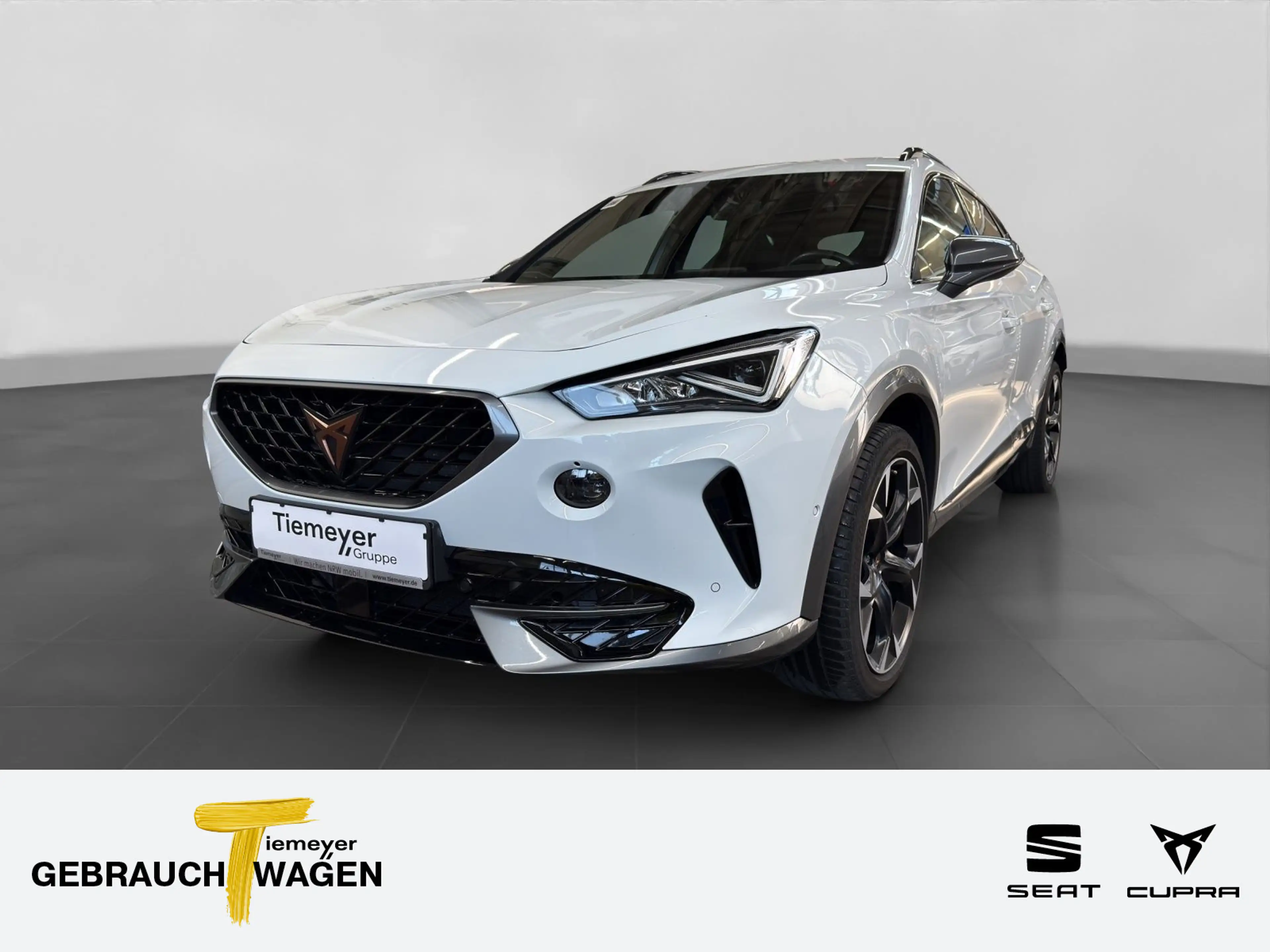 CUPRA Formentor 2.0 TSI DSG VZ PANO eKLAPPE Beats