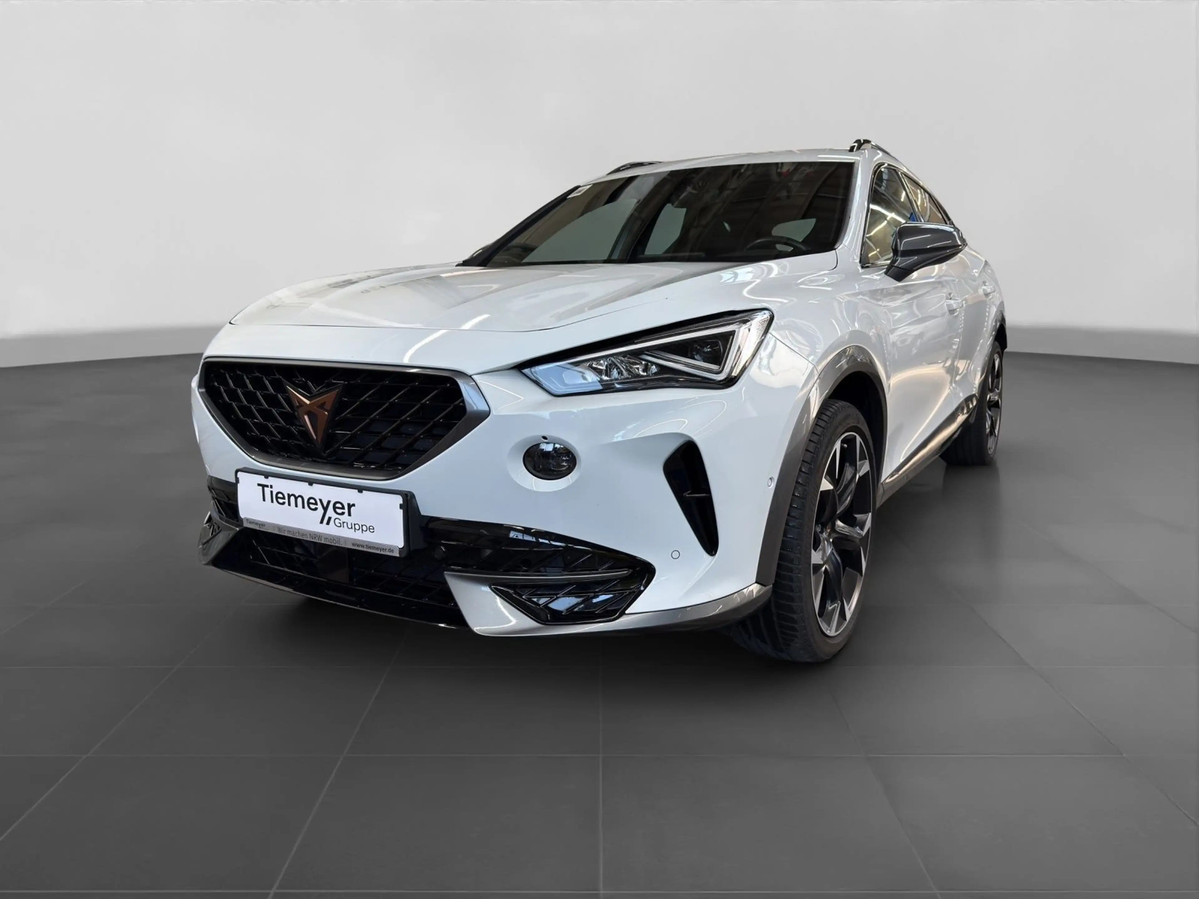 CUPRA Formentor 2.0 TSI DSG VZ PANO eKLAPPE Beats — photo 2