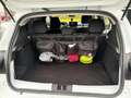 Dacia Sandero Sandero Comfort TCe 90 Comfort Weiß - thumbnail 9