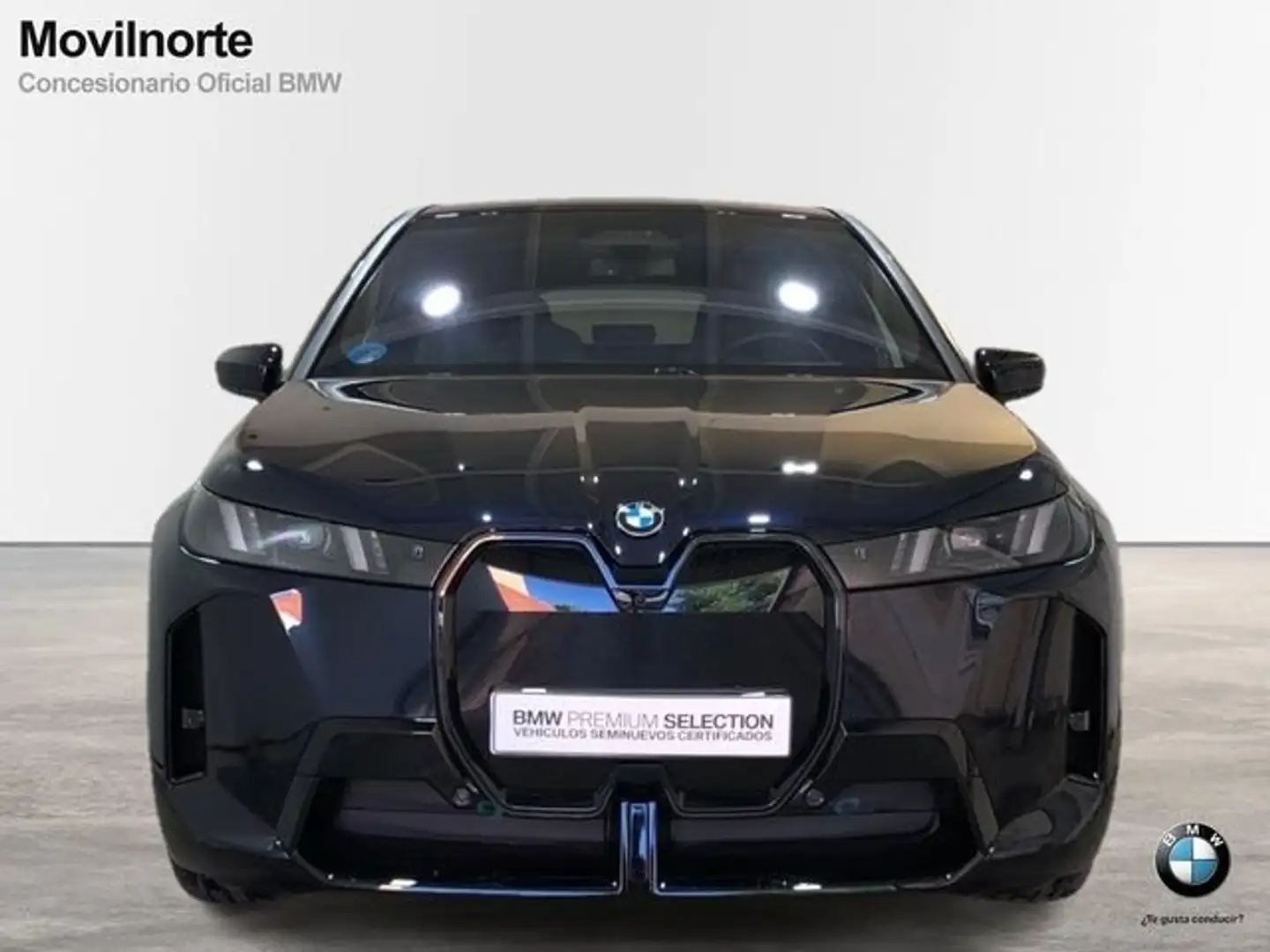 BMW iX xDrive 45 Negro - 2