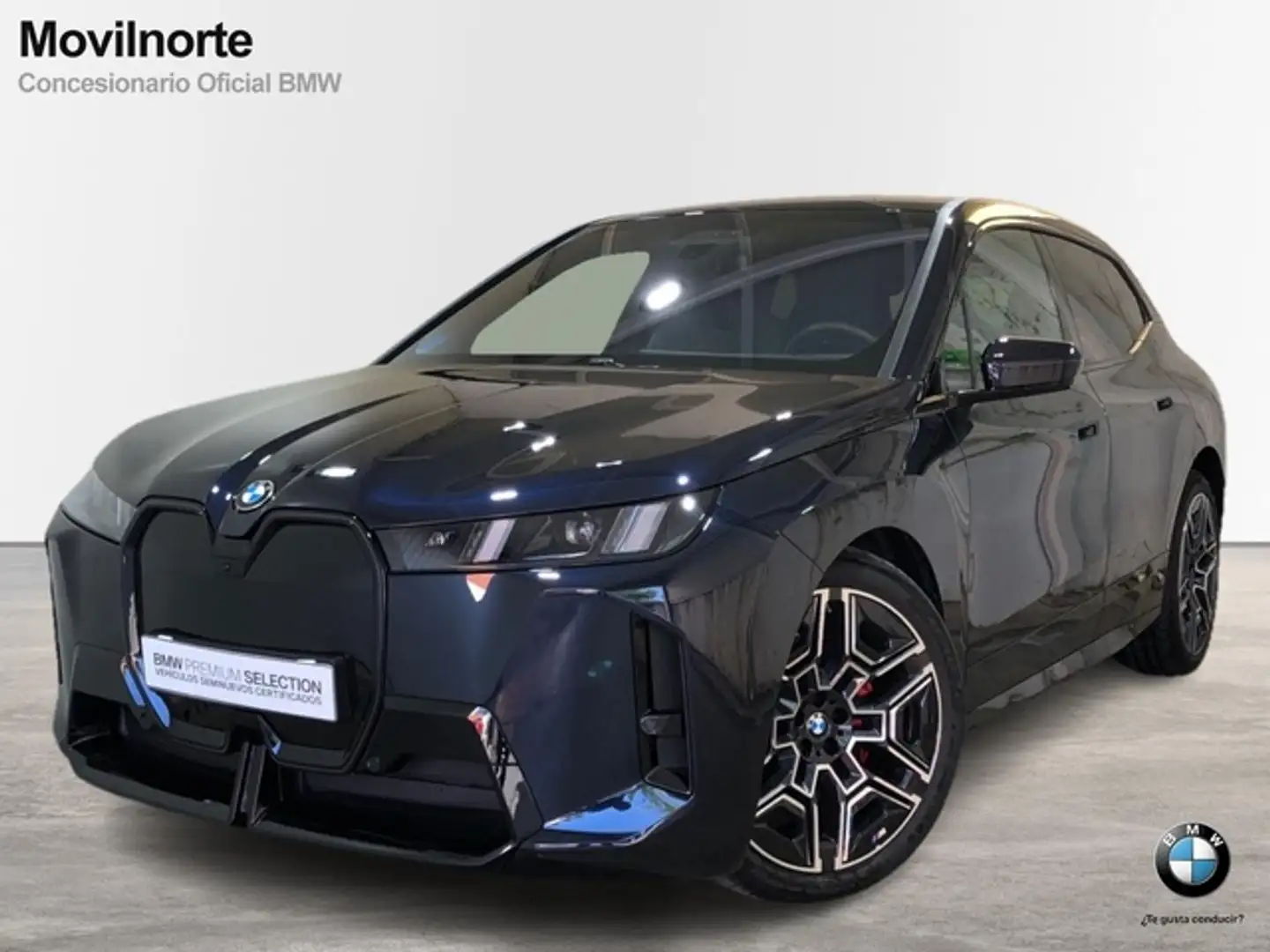 BMW iX xDrive 45 Negro - 1