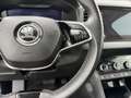 Skoda Karoq 1.5 TSI Ambition ACT DSG 110KW Gris - thumbnail 11