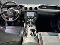 Ford Mustang GT, Sonderfarbe !!! Sofort Verfügbar Blauw - thumbnail 11