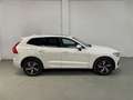 Volvo XC60 D5 R-Design C AWD Aut. Blanco - thumbnail 6