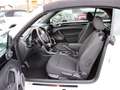 Volkswagen Beetle Cabriolet SOUND 1.4 TSI FENDER/XENON/NAVI/APP White - thumbnail 14