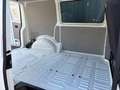 Volkswagen T6 Kombi / Family Van*7-Sitzer* Weiß - thumbnail 14