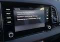 Skoda Karoq Karoq 1,5 TSI ACT DSG Style Style Grau - thumbnail 21