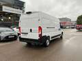Toyota Proace Max Kasten L3H2 BlueHDi 140 Meister 2.2 FAP Blanc - thumbnail 6