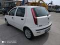 Fiat Punto Punto Classic 1.3 Multijet 69CV 5p NEOPATENTATI White - thumbnail 7