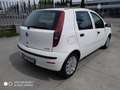 Fiat Punto Punto Classic 1.3 Multijet 69CV 5p NEOPATENTATI Blanc - thumbnail 5