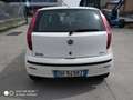 Fiat Punto Punto Classic 1.3 Multijet 69CV 5p NEOPATENTATI White - thumbnail 6
