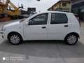 Fiat Punto Punto Classic 1.3 Multijet 69CV 5p NEOPATENTATI Blanc - thumbnail 8