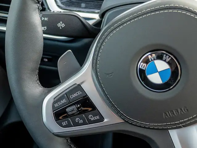 BMW X5 view 11
