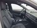 Porsche Macan T Aut. Blanco - thumbnail 10