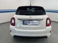 Fiat 500X 1.3 mjet Sport 95cv * 23.000 KM * 2024 * Blanco - thumbnail 6