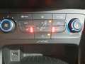 Ford Focus Klima, Winter-Paket, Berganfahr-Notbremsassistent Schwarz - thumbnail 19