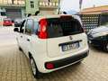 Fiat Panda VAN 1.3 Mjt 16v Lounge S&S Bianco - thumbnail 6