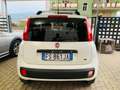 Fiat Panda VAN 1.3 Mjt 16v Lounge S&S Bianco - thumbnail 5