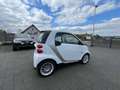 smart forTwo fortwo coupe Micro Hybrid Drive 45kW Weiß - thumbnail 3