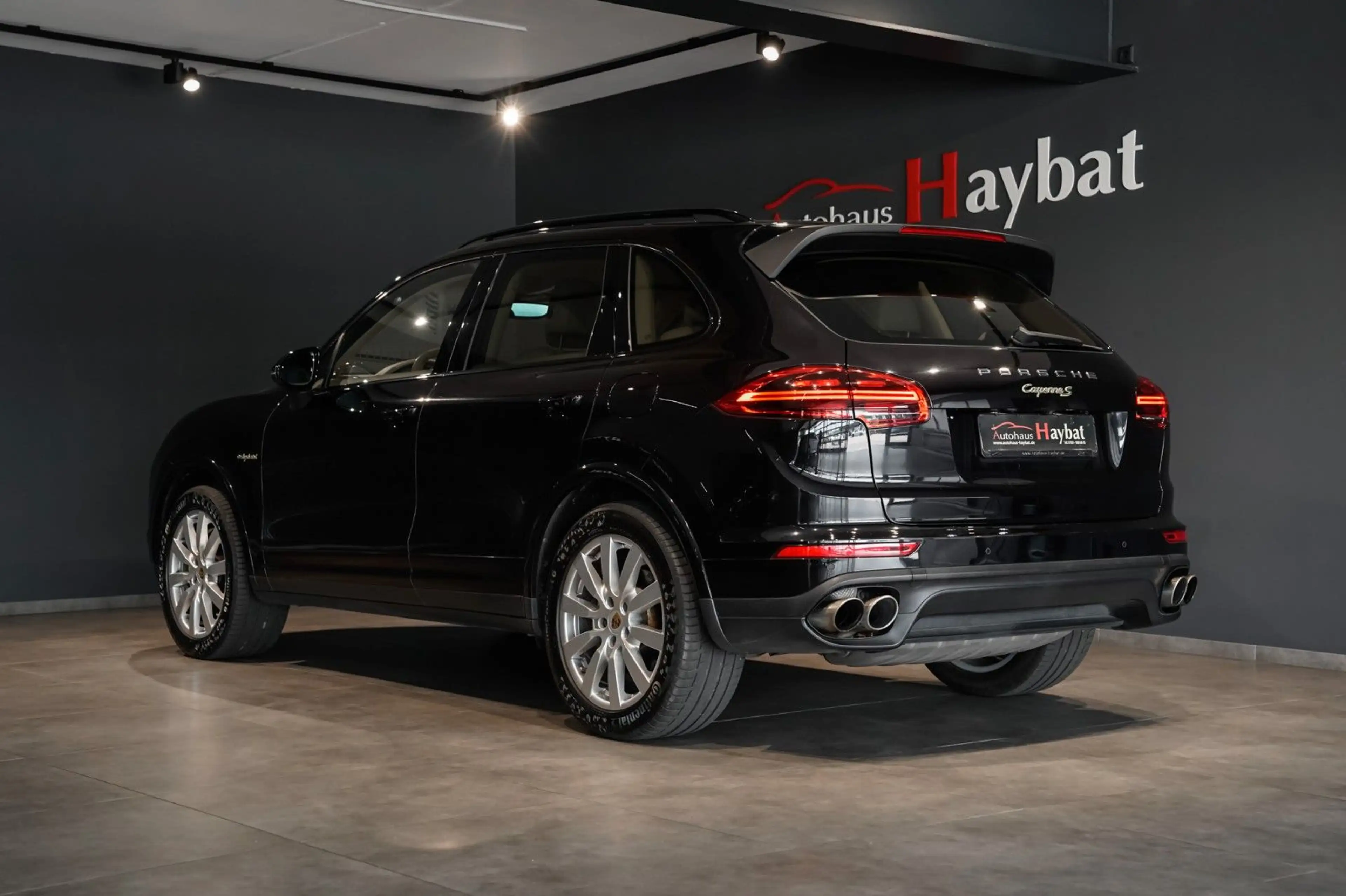 Porsche Cayenne S E-Hybrid Platinum Edition 18Wege-20" — photo 6