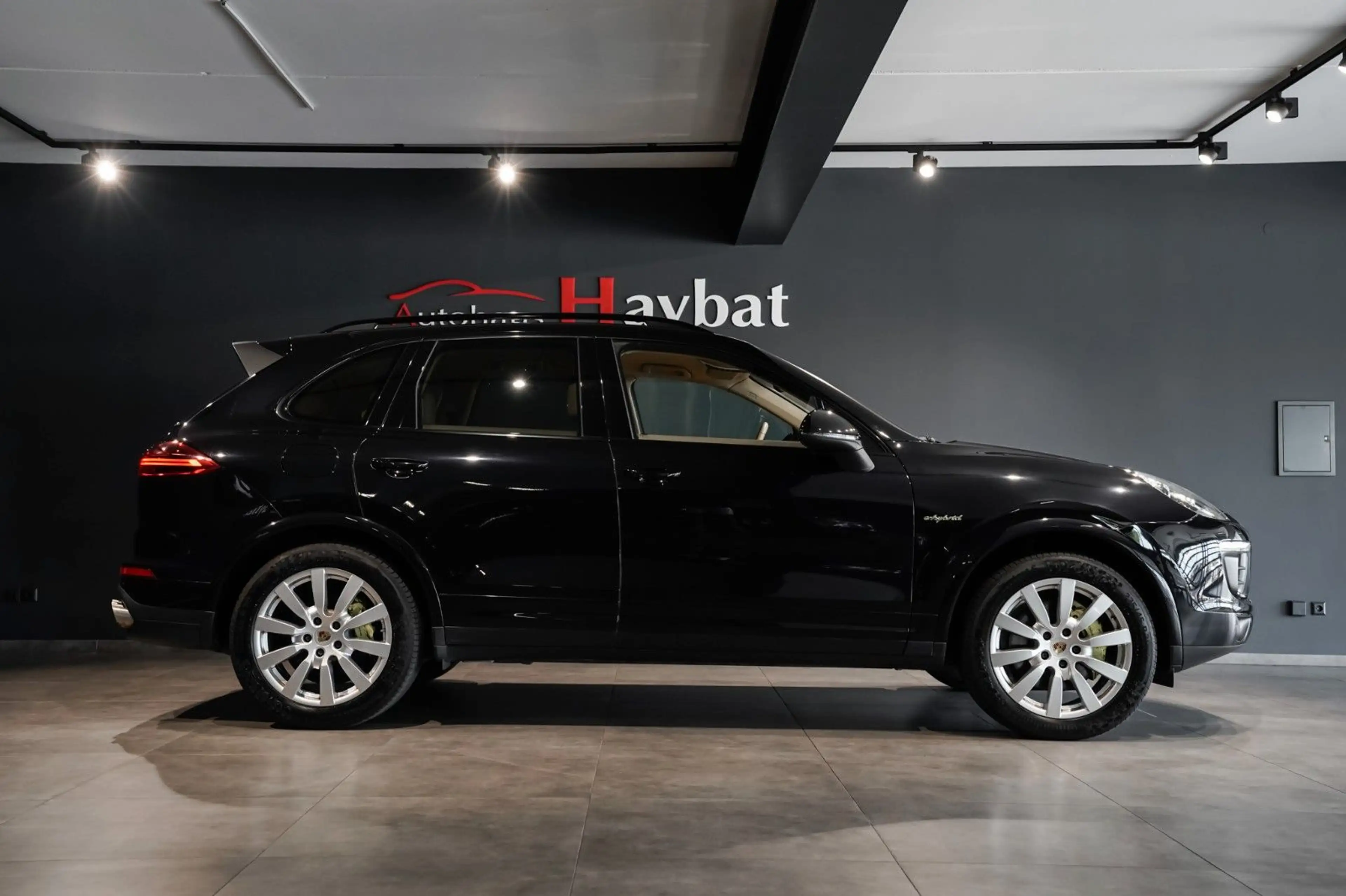 Porsche Cayenne S E-Hybrid Platinum Edition 18Wege-20" — photo 4