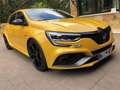 Renault Megane RS TROPHY IV Amarillo - thumbnail 8