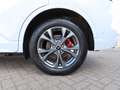 Ford Kuga PHEV ST-LINE   NAVI+LED+RFK+ACC+SHZ+TWA+AHK Weiß - thumbnail 14