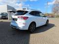 Ford Kuga PHEV ST-LINE   NAVI+LED+RFK+ACC+SHZ+TWA+AHK Weiß - thumbnail 4