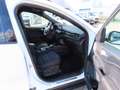 Ford Kuga PHEV ST-LINE   NAVI+LED+RFK+ACC+SHZ+TWA+AHK Weiß - thumbnail 10