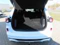 Ford Kuga PHEV ST-LINE   NAVI+LED+RFK+ACC+SHZ+TWA+AHK Weiß - thumbnail 12