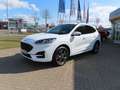 Ford Kuga PHEV ST-LINE   NAVI+LED+RFK+ACC+SHZ+TWA+AHK Weiß - thumbnail 2
