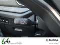 Skoda Octavia Combi 1.5 TSI mHEV 110 kW HeadUp 360° ACC Weiß - thumbnail 14