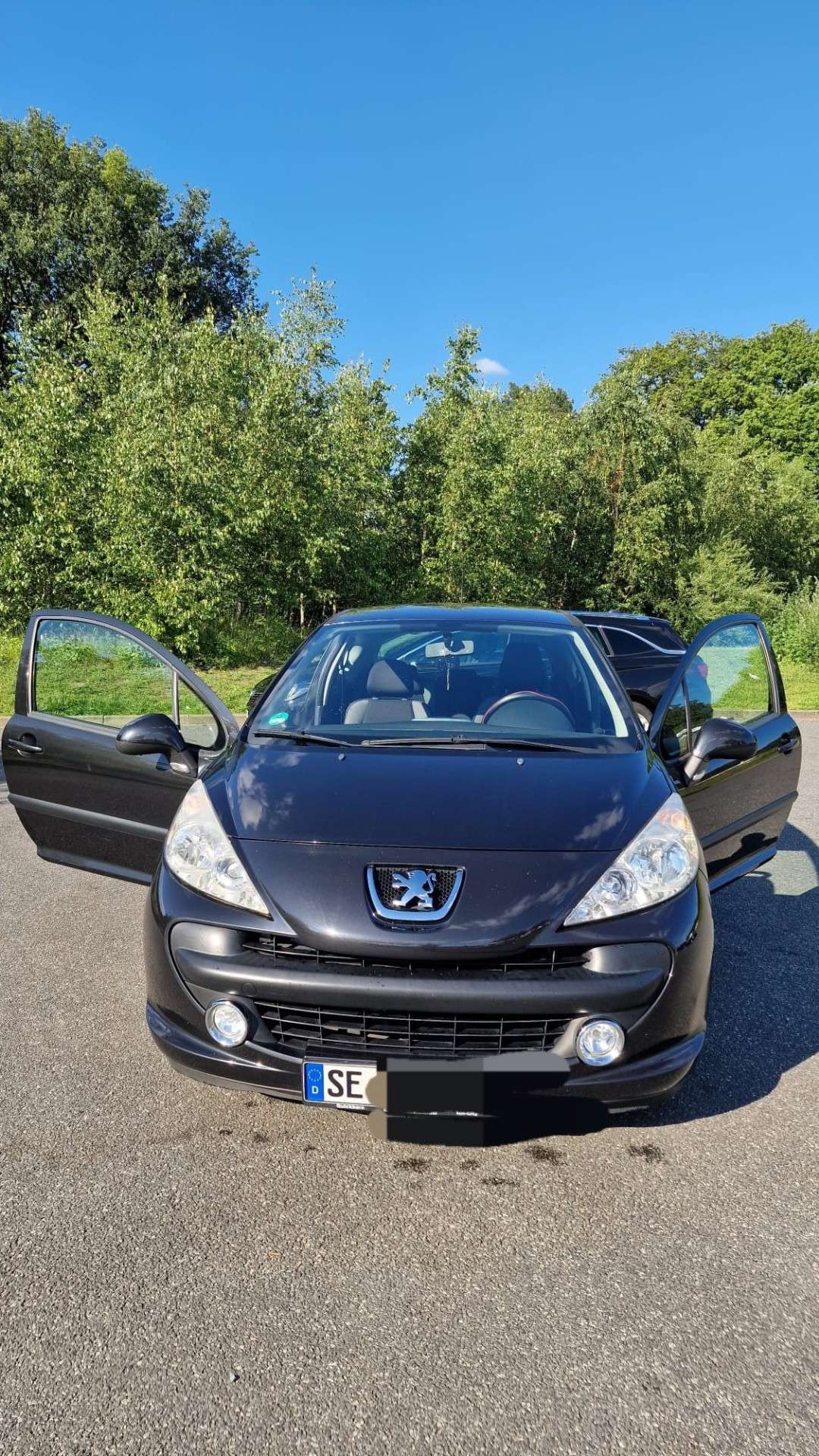 Brugt Peugeot 207 1.4
