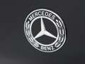 Mercedes-Benz GLS 580 4MATIC Premium Plus / AMG Line/ 23 inch/ Beige Int Černá - thumbnail 32