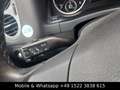 Volkswagen Tiguan Trend & Fun BMT Standheizung 2.Hand PDC Blau - thumbnail 20