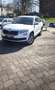 Skoda Kodiaq 2.0 TDI DSG Ambition - thumbnail 4