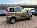 Fiat Panda 1.2 Dynamic AUTOMATICA OK NEOPATENTATI Bronze - thumbnail 5