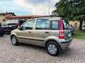 Fiat Panda 1.2 Dynamic AUTOMATICA OK NEOPATENTATI Bronze - thumbnail 8