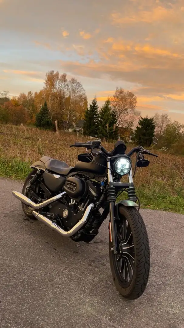 Harley-Davidson XL 883 Iron Black - 1