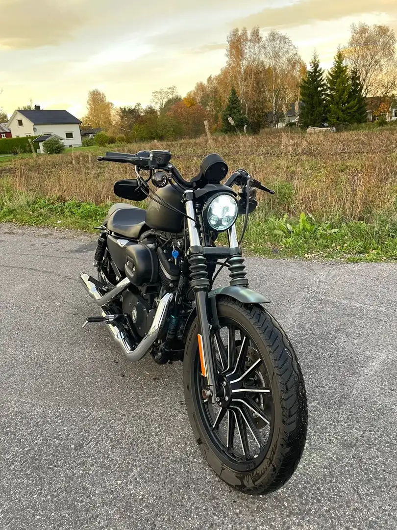 Harley-Davidson XL 883 Iron Black - 2