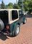 Jeep Wrangler Wrangler 4.0 Sahara Grün - thumbnail 5
