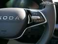 Skoda Fabia Selection 1.0 TSI *LED*PDC-HI*SMARTLINK*SHZ*BLU... Grau - thumbnail 13