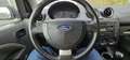 Ford Fiesta 1.25-16V Celebration Grijs - thumbnail 10