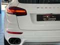 Porsche Cayenne S/GTS/PANO/BOSE/AHK/ACC/360° Weiß - thumbnail 6