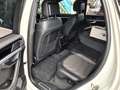 Volkswagen Touareg R-Line 4Motion LED PANO AHK Wit - thumbnail 17