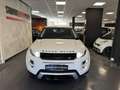 Land Rover Range Rover Evoque Range Rover Evoque 2011 5p 2.2 td4 Prestige 150cv Weiß - thumbnail 3