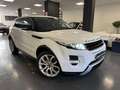 Land Rover Range Rover Evoque Range Rover Evoque 2011 5p 2.2 td4 Prestige 150cv Weiß - thumbnail 9