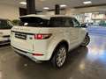 Land Rover Range Rover Evoque Range Rover Evoque 2011 5p 2.2 td4 Prestige 150cv Weiß - thumbnail 10
